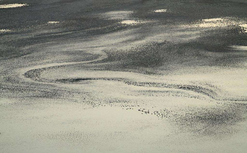 含油工業(yè)廢水 含油工業(yè)廢水